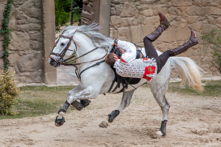 Là où les chevaux deviennent légende.